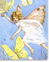 Fairy Land Greetings Cards